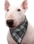 Immagine di PET BANDANA REFRIGERANTE SCOTTISH GREY TG 05 S COLLO DA 31 A 41 CM AQUA COOLKEEPER
