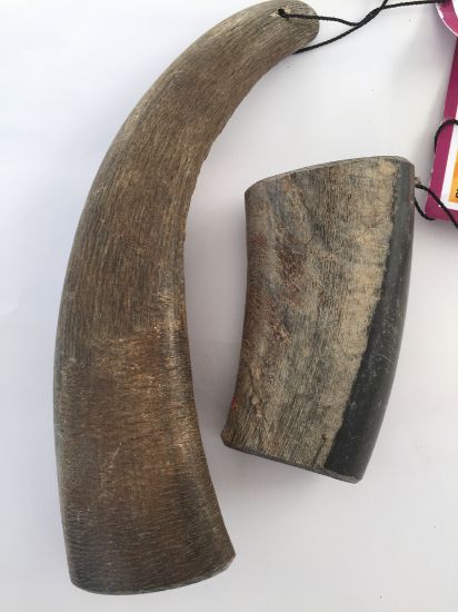 Immagine di CORNO DI BUFALO D'ACQUA ( 160220 GR) TG. L per i cani da 10 a 30 KG