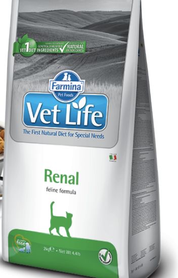 Immagine di Farmina VET LIFE GATTO RENAL 2 KG