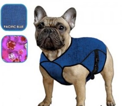 Immagine di DISPONIBILE PET JACKET CAMICIA REFRIGERANTE PACIFIC BLU TG 01 XXS (vedi misure) AQUA COOLKEEPER