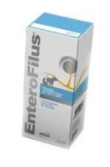 Immagine di ENTEROFILUS PROBIOTICI FERMENTI LATTICI  LIQUIDO 100 ml