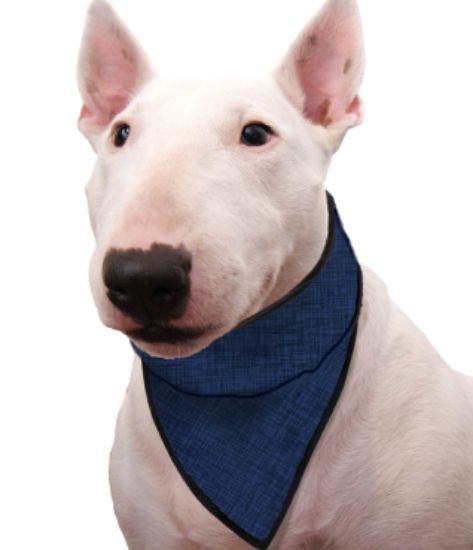 Immagine di AQUA COOLKEEPER PET BANDANA REFRIGERANTE PACIFIC BLU TG 03 XS COLLO DA 26 A 33 CM