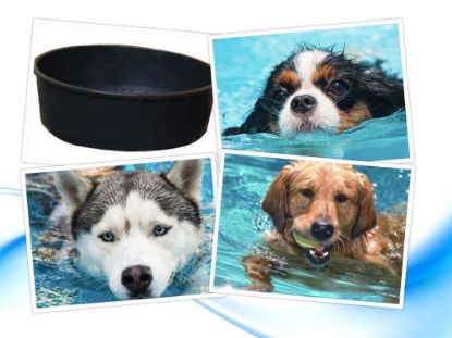 Immagine di PISCINA CANI TG M RESISTENTE DIAMETRO 88 X 32 cm H (SPED. GRATUITA SEMPRE INCLUSA) IN POLIPROPILENE LITRI 150