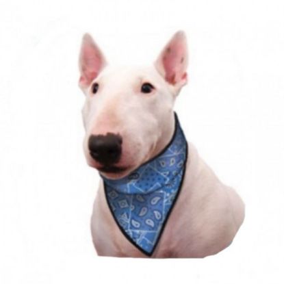 Immagine di AQUA COOLKEEPER PET BANDANA REFRIGERANTE BLU WESTERN TG 13 XXL COLLO DA 69 A 77 CM