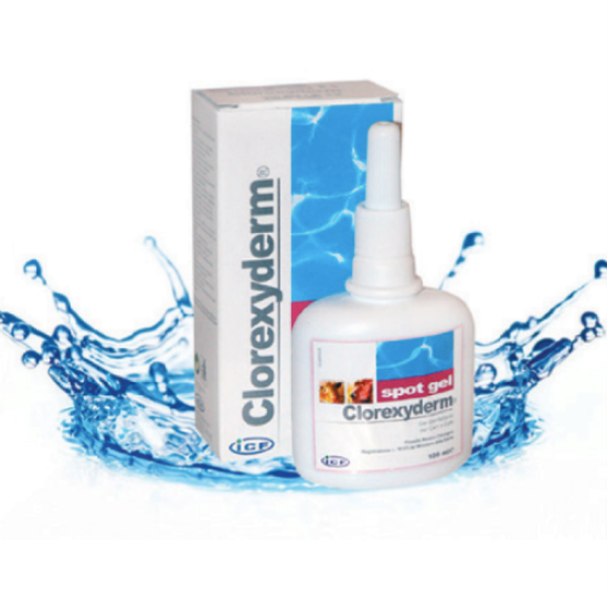 Immagine di Clorexyderm SPOT GEL 100 ML