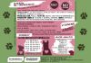 PETFORMULA AGNELLO PATATE e  VERDURE ADULTO GRAIN FREE 12 KG 