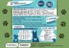 Immagine di SFUSO PETFORMULA CERVO SALMONE ADULTO GRAIN FREE 2 KG 