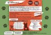 Immagine di PETFORMULA ADULTO PESCE BIANCO DEI MARI DEL NORD 20 KG   GRAIN FREE