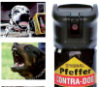 CONTRADOG Spray Antiaggressione attacchi CANI pitbull 40 ML #Sicurezza