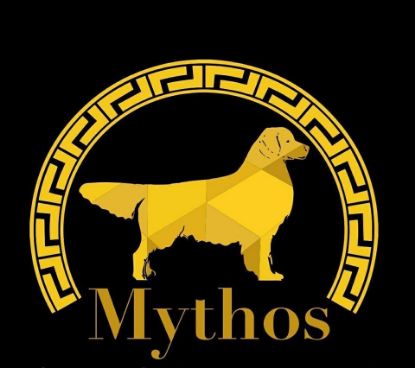 SHAMPOO PROFESSIONALE MYTHOS NATURALE AMERICAN GOLDEN LINE 1 Litro EFFETTO LISCIO