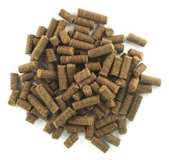 WILSONS PRESSATO A FREDDO ADULT MOUNTAIN STREAM SALMONE E PESCE MARE GRAIN FREE 10 kg