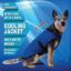 PET JACKET CAMICIA REFRIGERANTE PACIFIC BLU TG 09 L AQUA COOLKEEPER 