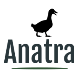 Immagine per la categoria ANATRA
