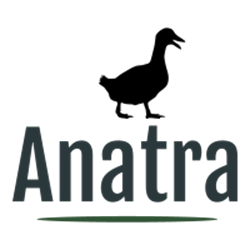 Immagine per la categoria al ANATRA