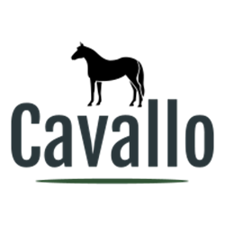 Immagine per la categoria al CAVALLO