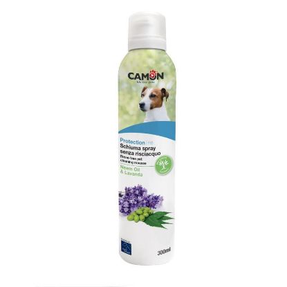 SPUMA SHAMPOO A SECCO AL NEEM E LAVANDA 300 ML CAMON