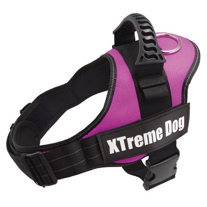 PETTORINA CANE XTREME DOG Taglia L ROSA FUCSIA circonf. torace 70-95 cm JULIUS