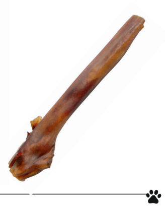 TENDINi DI BUE EXTRA LARGE 20 cm  snack masticazione cane