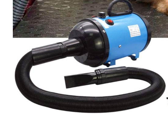 SOFFIATORE CANI 2800W AZZURRO velocità e temp regolabile