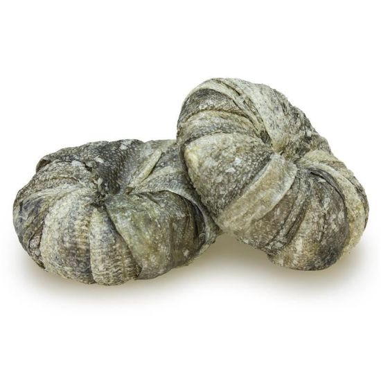 Immagine di SNACK NATURALE ANELLI COMPATTI DI BACCALA' per DENTI e GENGIVE