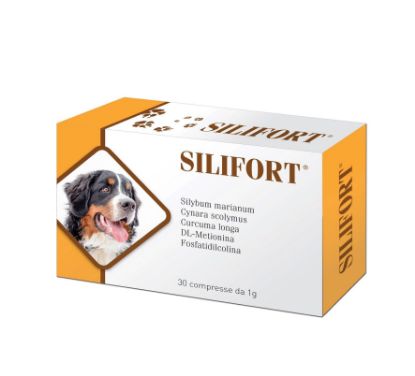 SILIFORT 30 COMPRESSE da 1 G - MANGIME COMPLEMENTARE PER CANI E GATTI