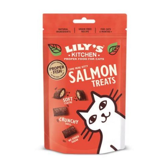 LILY'S KITCHEN SOFT SNACK GATTO SALMONE 60 GR 