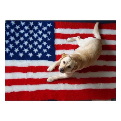 Tappeto VET BED AMERICAN FLAG tg. L 150X100 cm antiscivolo cani gatti