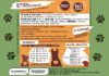 Immagine di PETFORMULA SALMONE TROTA  12 KG ADULTO GRAIN FREE - SPECIAL EDITION LIMITED