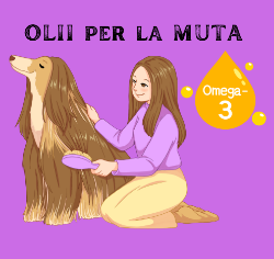 Immagine per la categoria OLII BENESSERE PELO