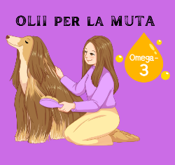 Immagine per la categoria OLII PELO MUTA