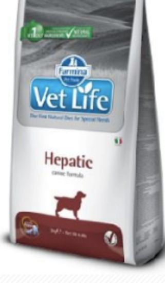 Immagine di OUTLET DANNEGGIATO Farmina VET LIFE HEPATIC 12kg 