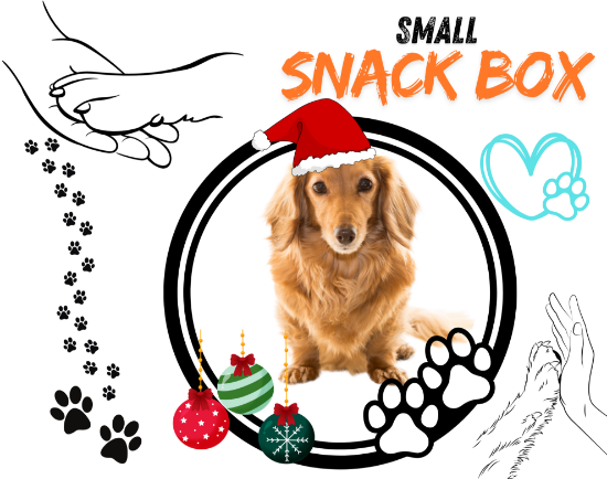 CHRISTMAS BOX  SMALL LELEPETSHOP + DONAZIONE 1 KG CIBO AL RIFUGIO MABELLO
