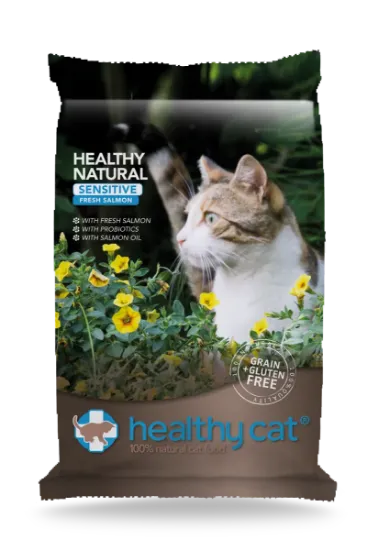 HEALTHYCAT SALMONE GATTO 4 kg GRAIN FREE kitten e adult