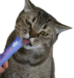 Immagine per la categoria SNACK CREAMY