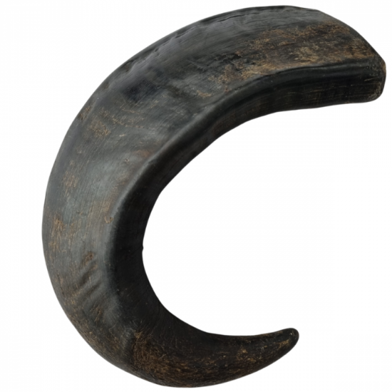CORNO DI BUFALO 250-300 GR TG L per i cani 12 -30 KG 