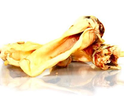 ORECCHIA CERVO SFUSA