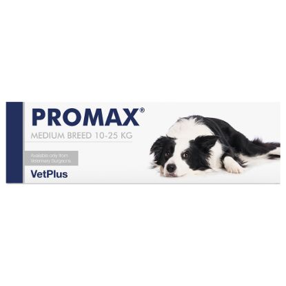 PROMAX  10-25 KG MEDIUM BREED PROBLEMI INTESTINALI
