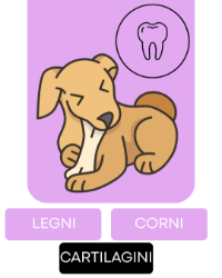 Immagine per la categoria MASTICABILI 100% NATURALI