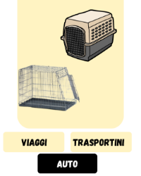 Immagine per la categoria TRASPORTINI SOFFIATORI